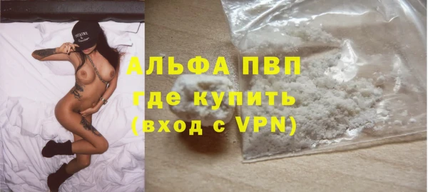 прущие грибы Богородицк