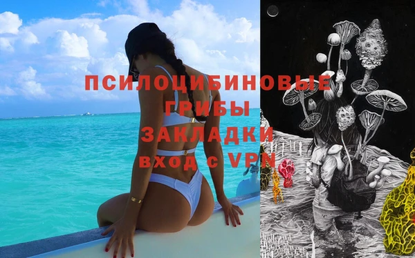 прущие грибы Богородицк