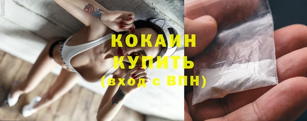 спиды Богданович