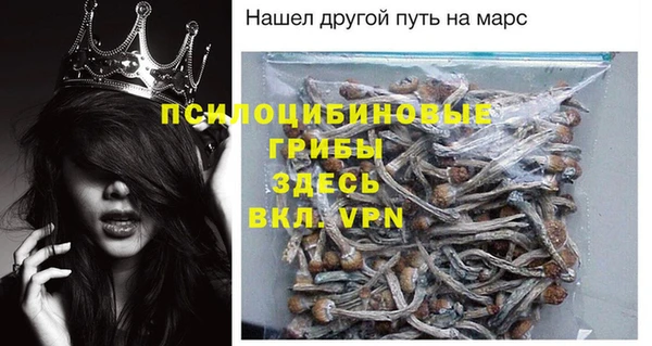 спиды Богданович