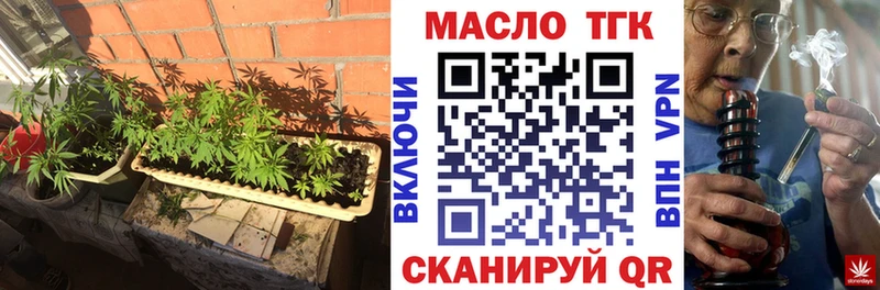 mega ONION  Вязники  ТГК концентрат 