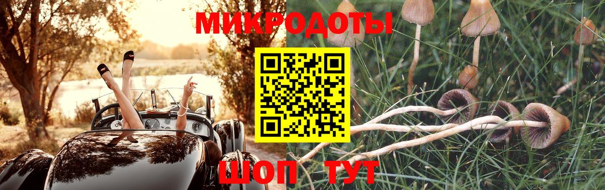 Псилоцибиновые грибы мицелий  наркошоп  Вязники  Вход с VPN 