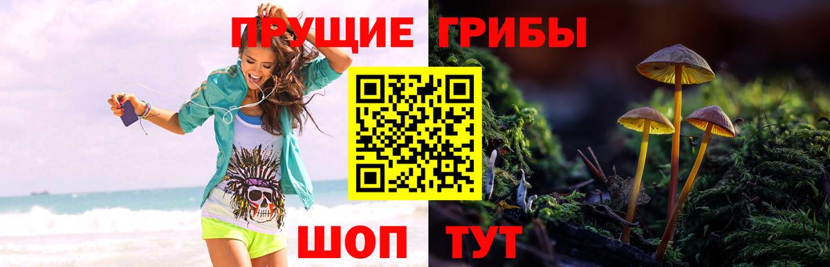 Галлюциногенные грибы Magic Shrooms Вязники